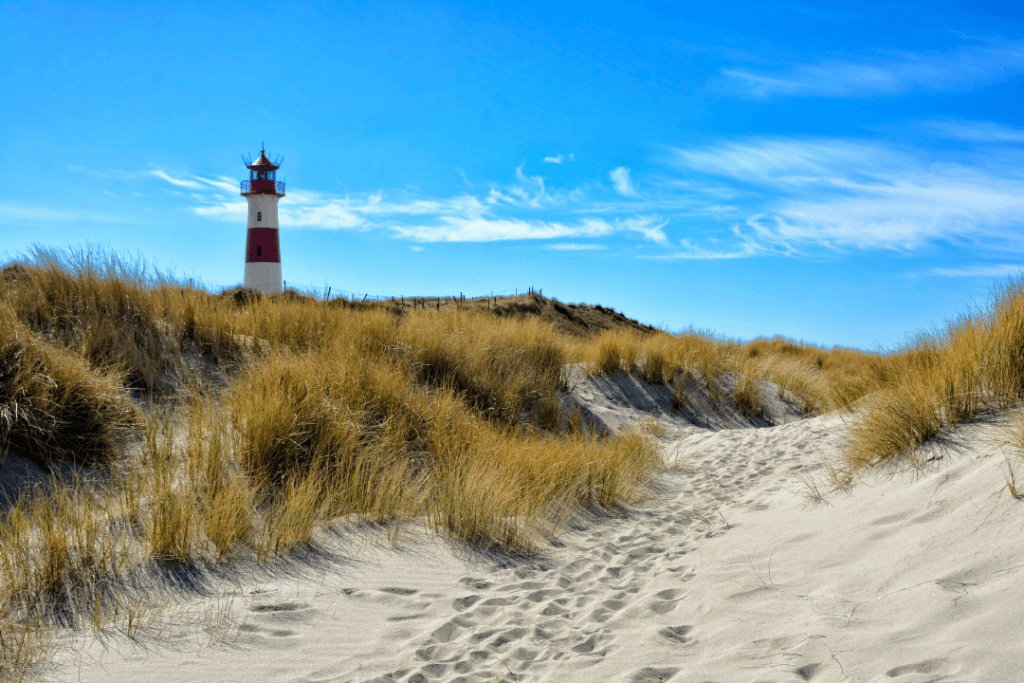 Bild-Bildungsurlaub-Sylt-1024x683-2