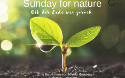 Sunday for Nature