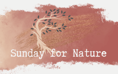 Sunday for Nature