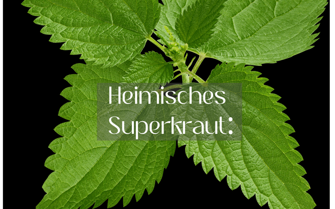 Deine Detox-Kur mit der Brennnessel