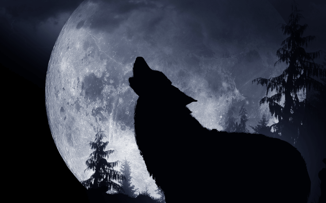 Der Mond – dein magischer Verbündeter